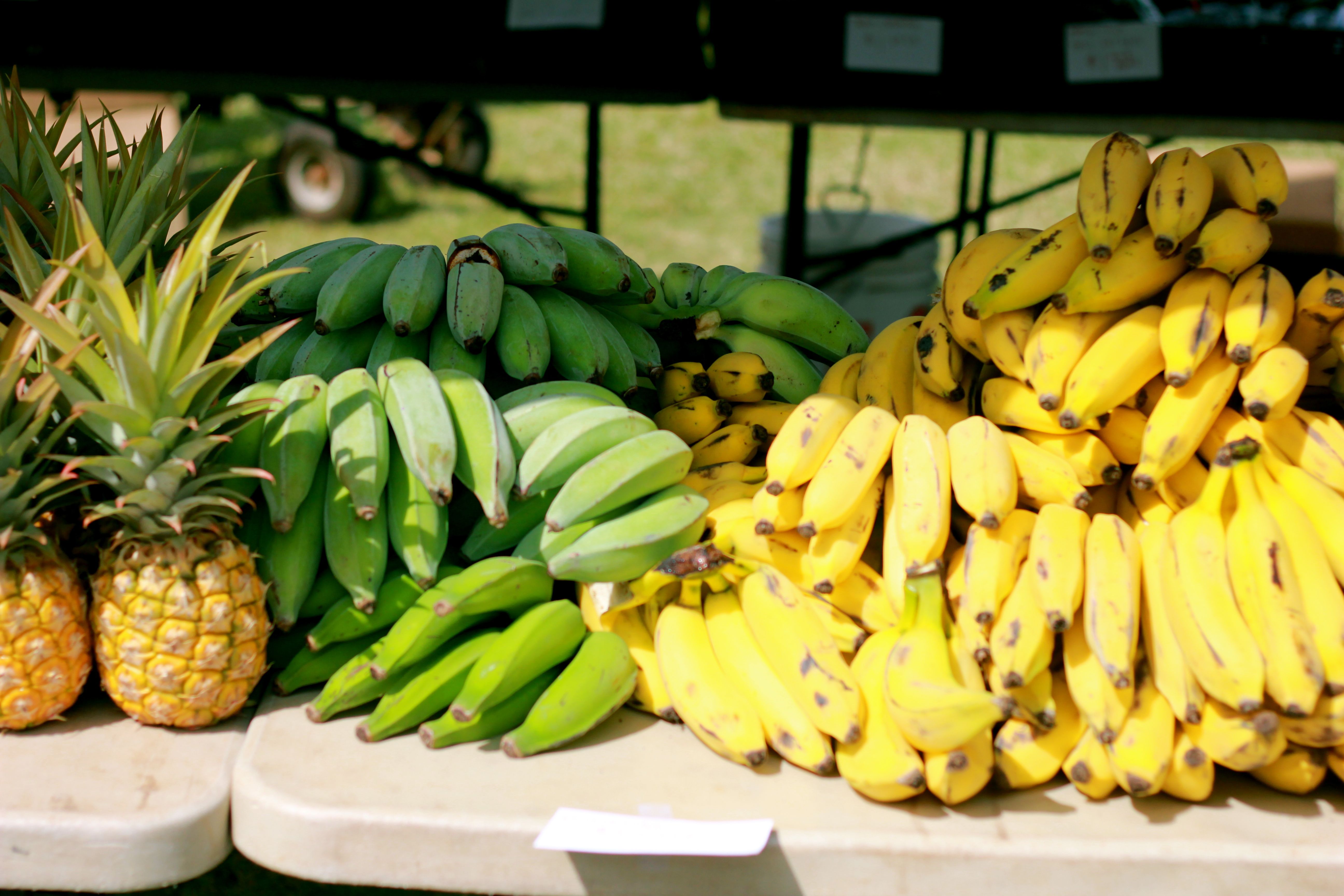 This week's bag featuring Apple Bananas! 11/21 11/25 O‘ahu Fresh