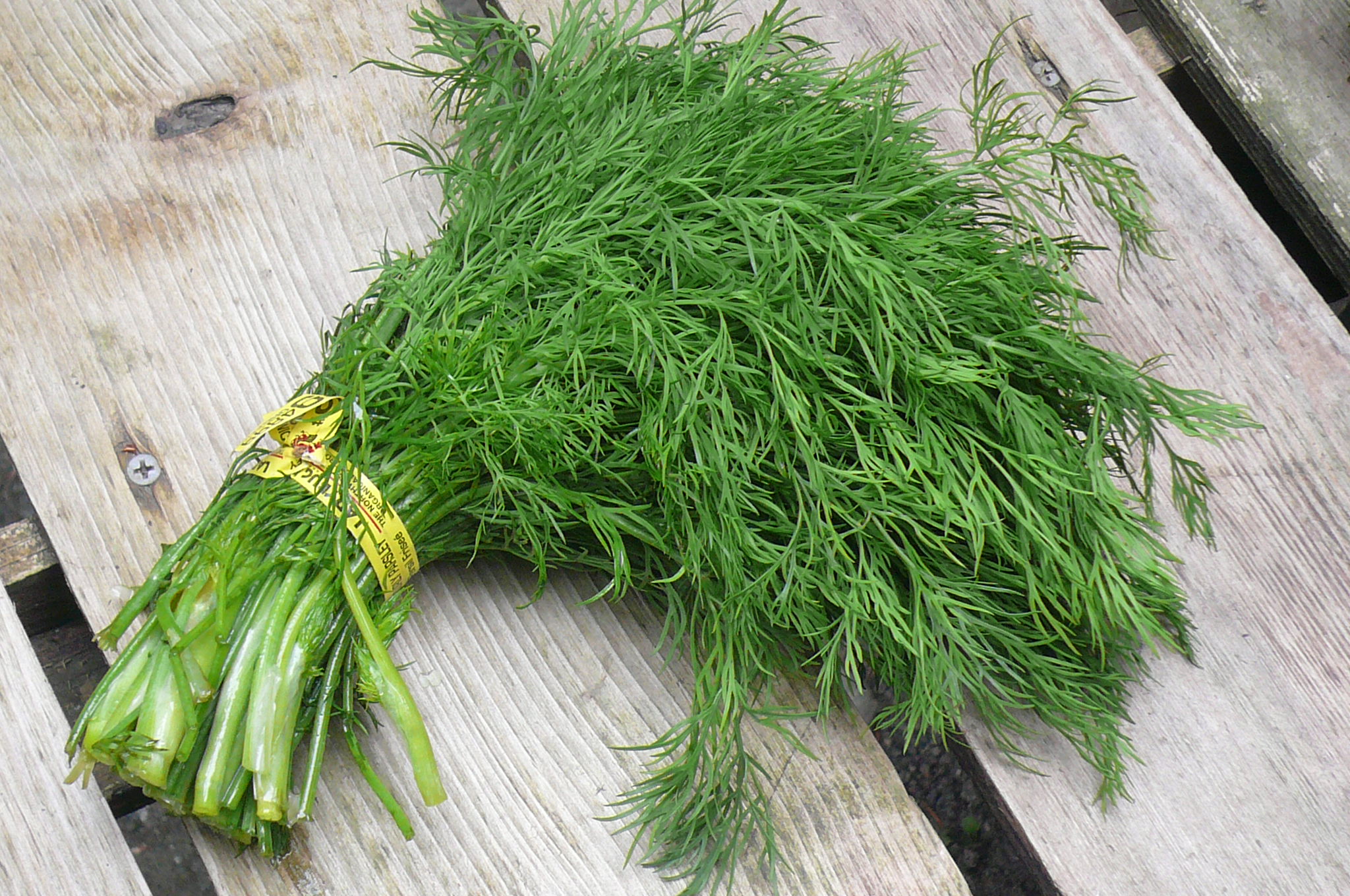 Dill O ahu Fresh