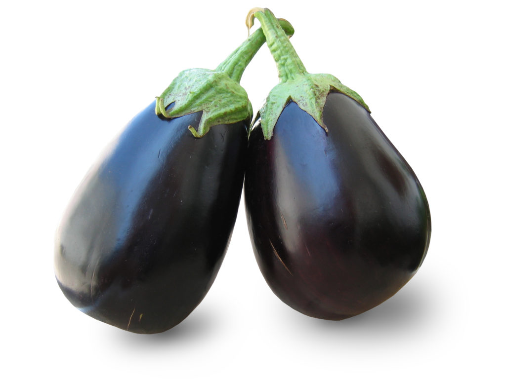round eggplant O‘ahu Fresh