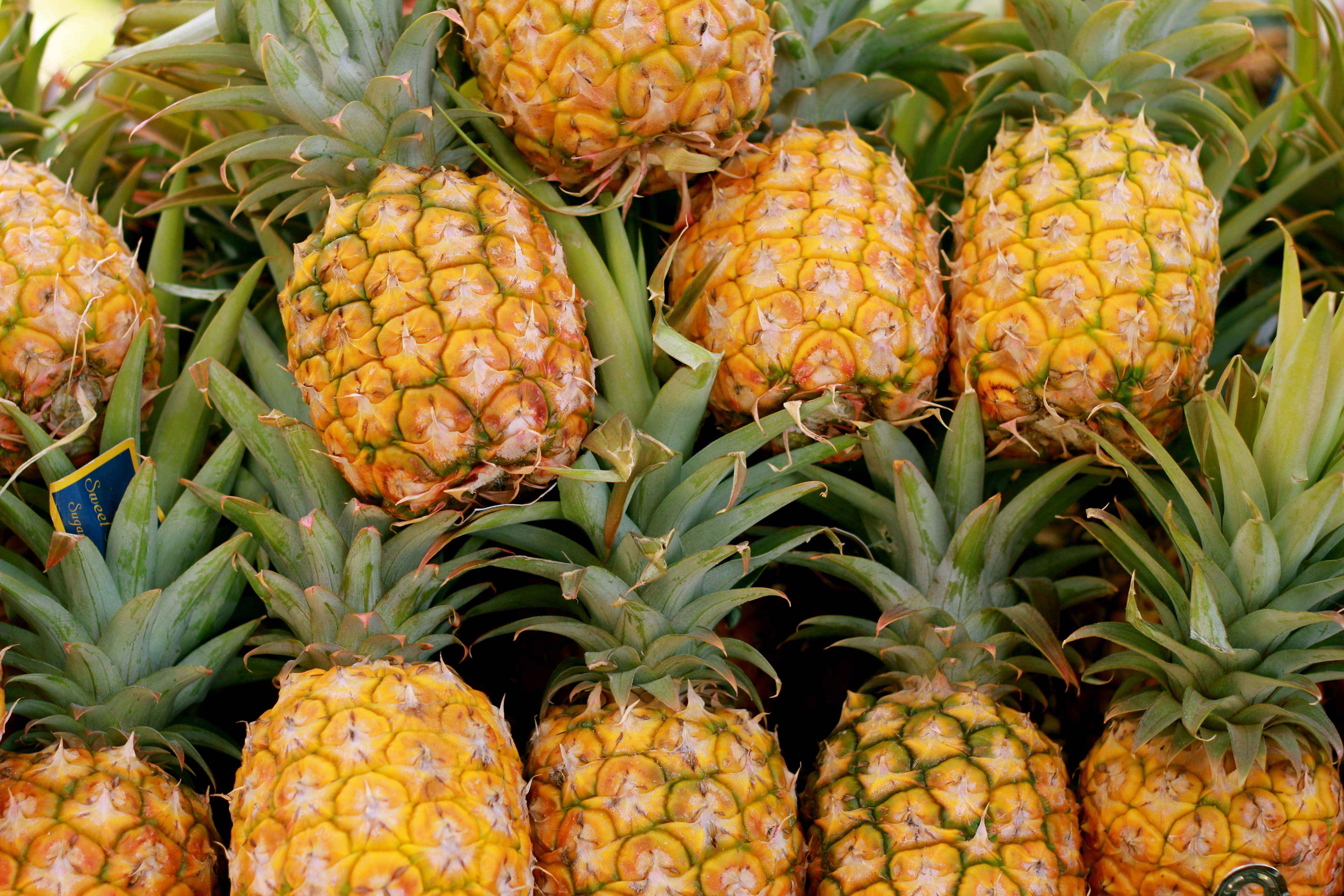 This Week's Bag Featuring Pineapple! April 16th, 2018 O‘ahu Fresh