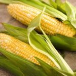 corn-on-the-cob