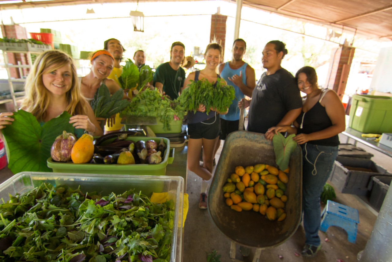 Kahumana Organic Farm & Cafe O‘ahu Fresh