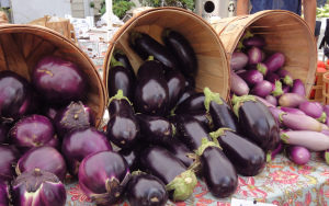 eggplant1