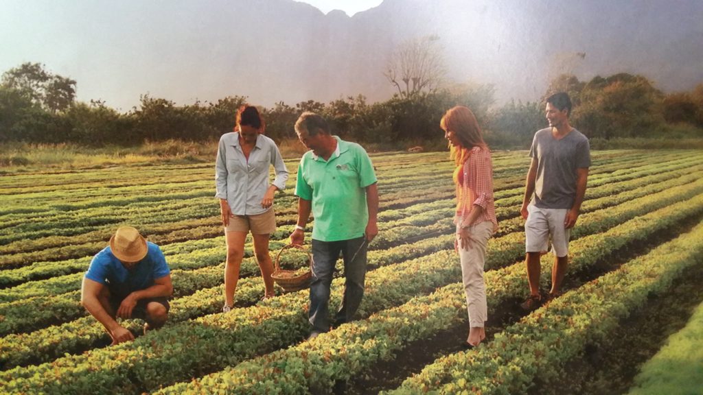 Farm Tour