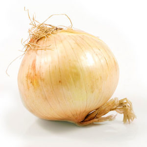 vidalia-onion