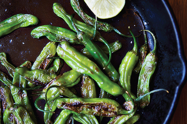 Sautéed Shishito Peppers - O‘ahu Fresh