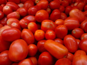 Roma_or_Bangalore_Tomatoes_(Indian_hybrid)