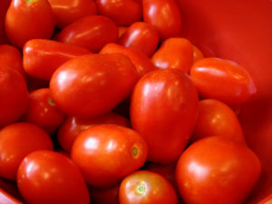 tomatoes