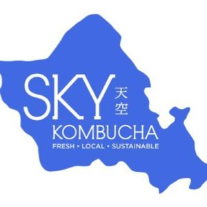 skylogo