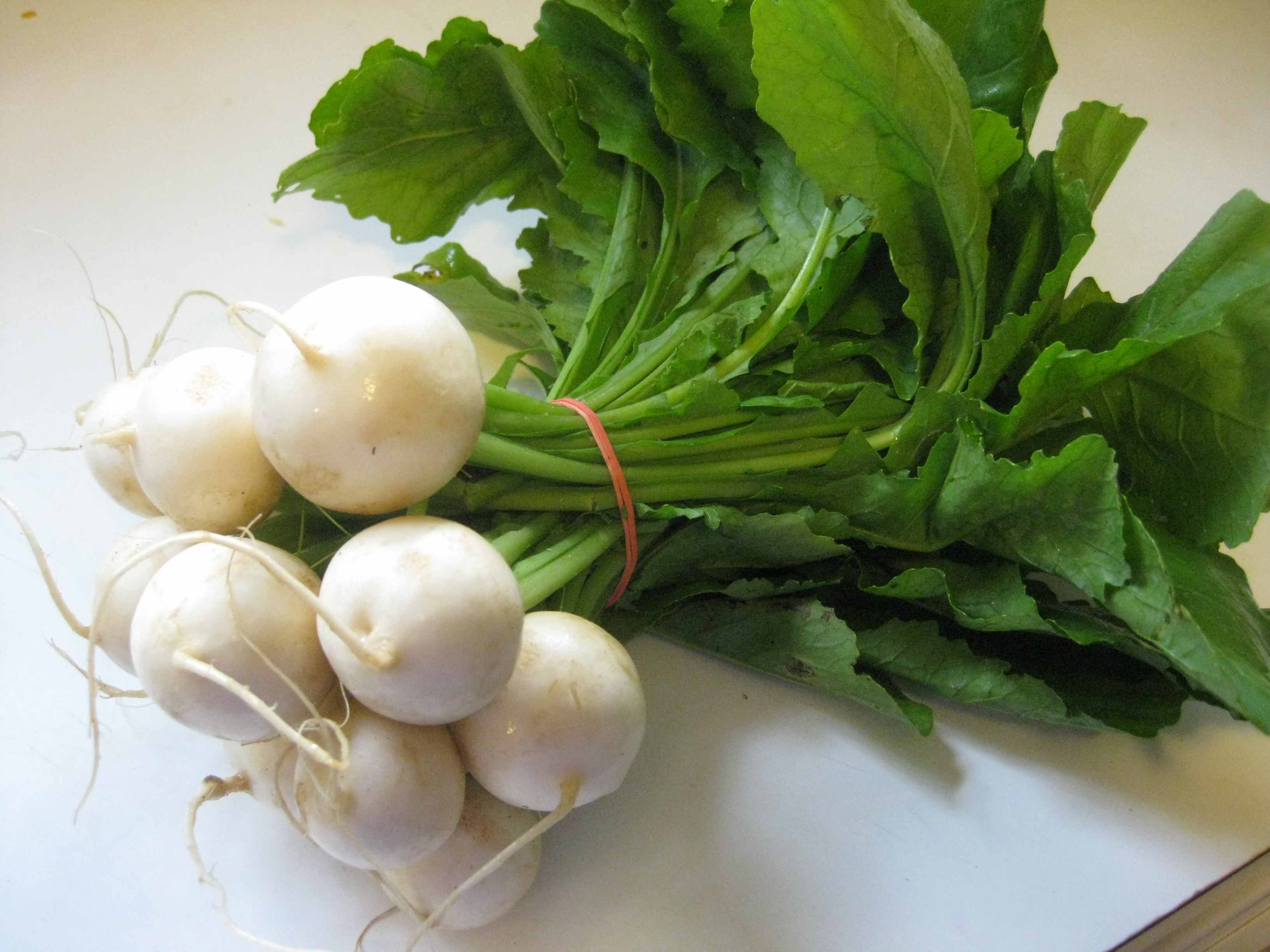 Radish редька. редис. редька группа. редька группа. редька черная.