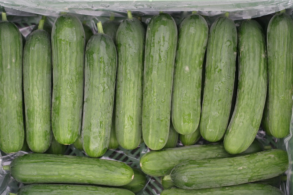 2 mini cucumbers calories